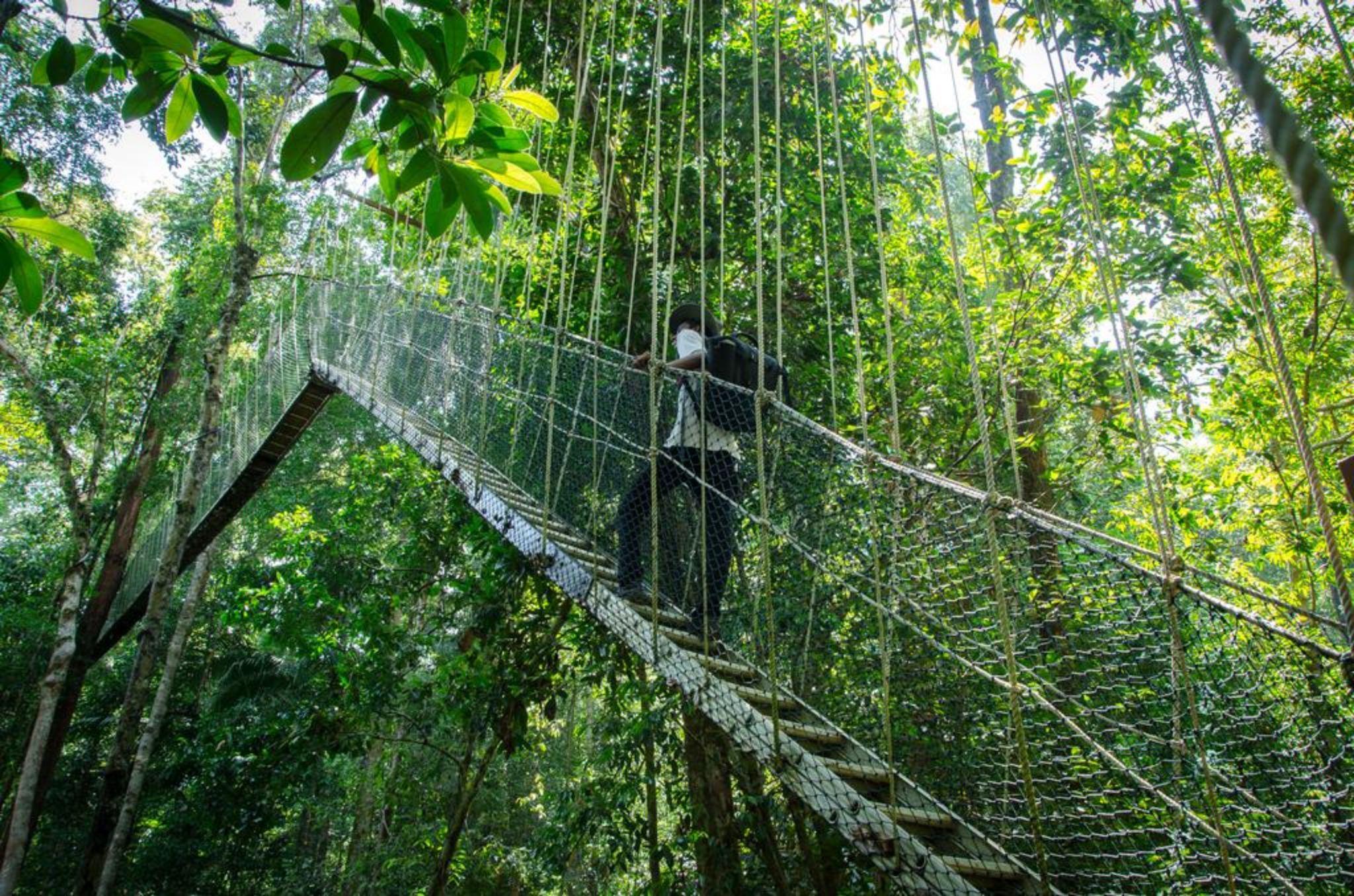 Mutiara Taman Negara Kuala Tahan Exterior foto