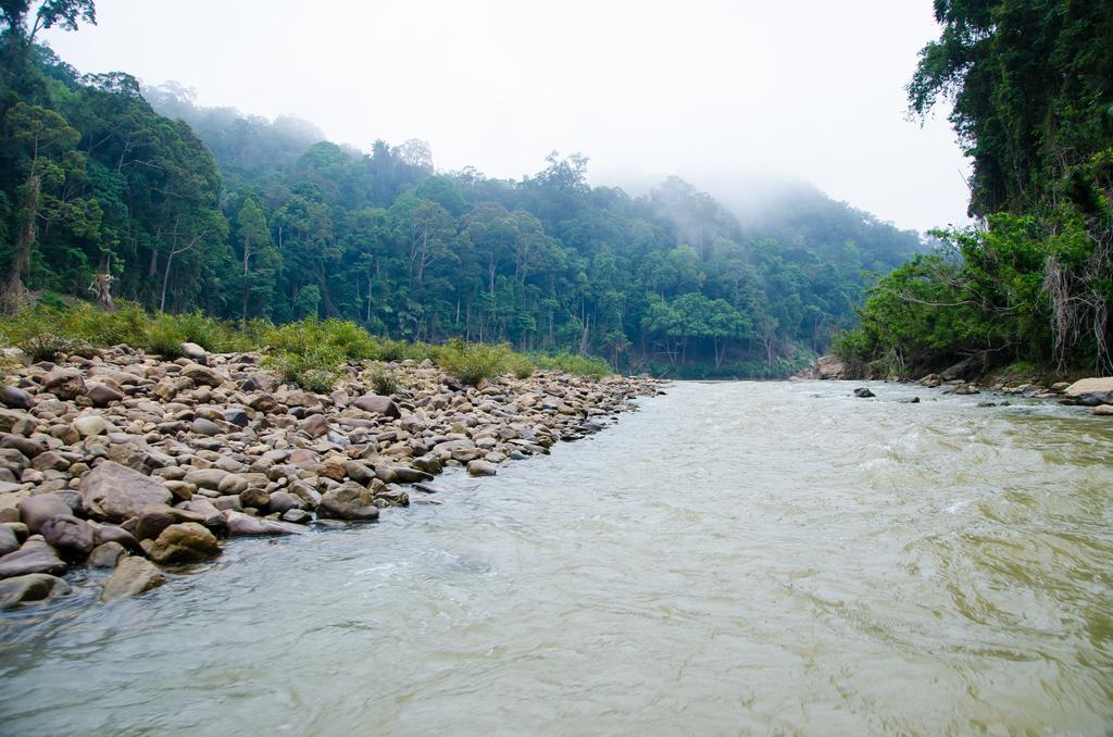 Mutiara Taman Negara Kuala Tahan Exterior foto
