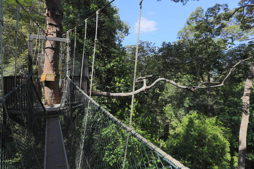 Mutiara Taman Negara Kuala Tahan Exterior foto