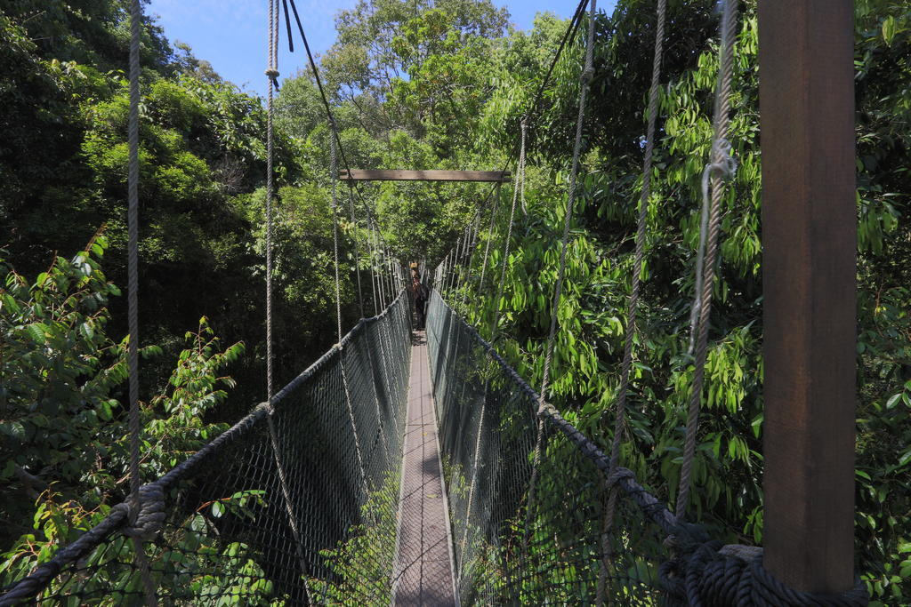 Mutiara Taman Negara Kuala Tahan Exterior foto