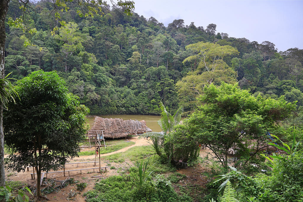 Mutiara Taman Negara Kuala Tahan Exterior foto
