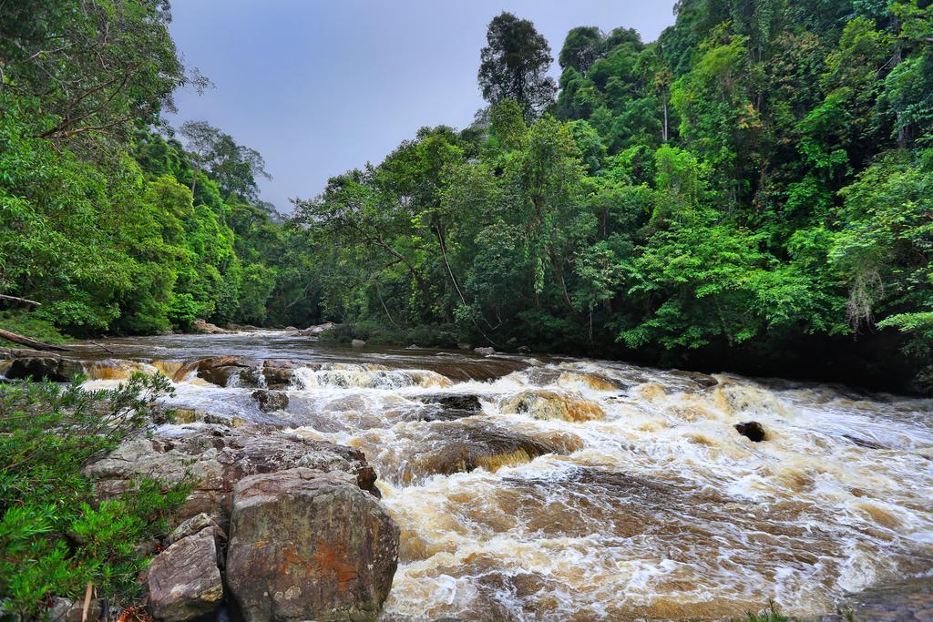 Mutiara Taman Negara Kuala Tahan Exterior foto